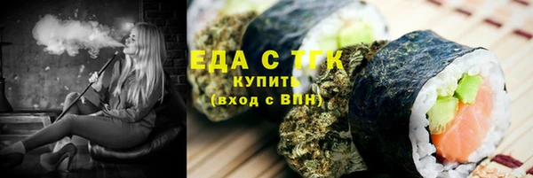 хмурый Аркадак