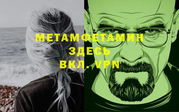 хмурый Аркадак