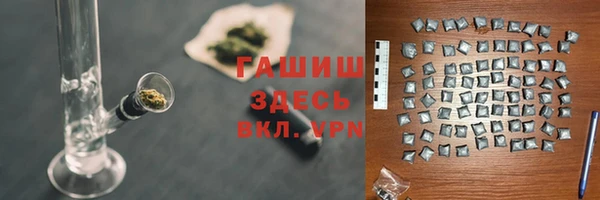 хмурый Аркадак