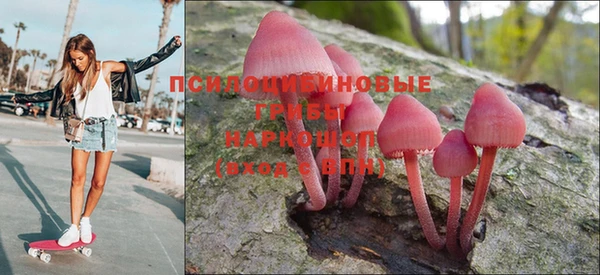 мяу мяу мука Арсеньев