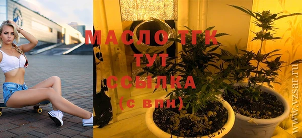 хмурый Аркадак