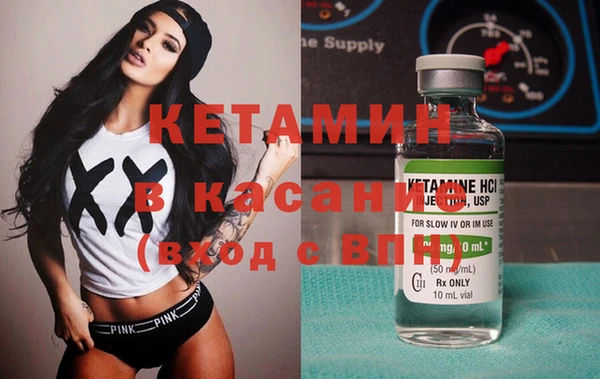 хмурый Аркадак