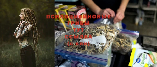 хмурый Аркадак