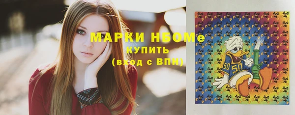хмурый Аркадак