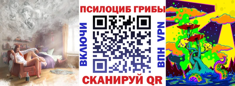 Псилоцибиновые грибы Psilocybine cubensis Рассказово
